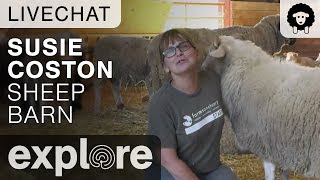 Susie Coston In the Sheep Barn - Farm Sanctuary Live Chat 10/18/17 by Explore Farm Life 9,252 views 6 years ago 30 minutes