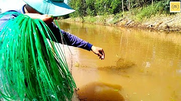 Giăng Lưới Phèo 3 Phân Rưỡi Rãi Mồi Mùa Nước Của Người Miền Tây | Dính Toàn Cá Rô Mề | Học vlog