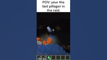 POV: your the LAST PILLAGER in the raid 💀  #minecraft