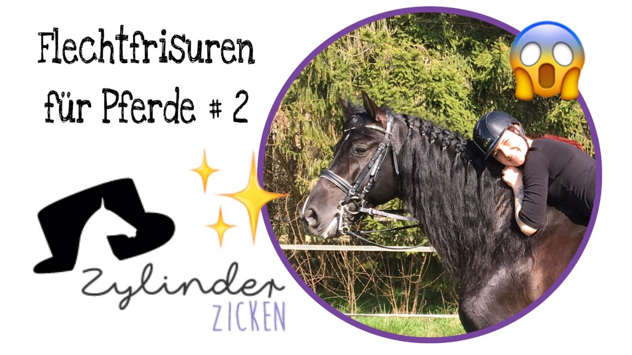 Flechtfrisuren für Pferde #2 /Reiter Tipps