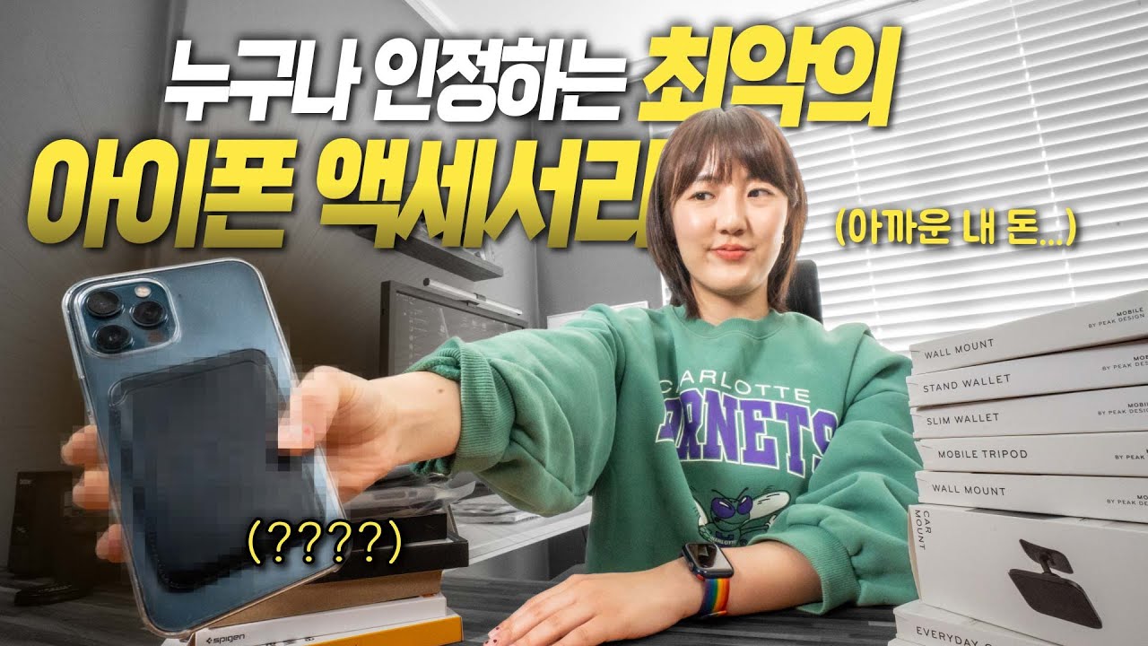 애플 정품보다 비싸다니...아이폰 월렛 액세서리 비교