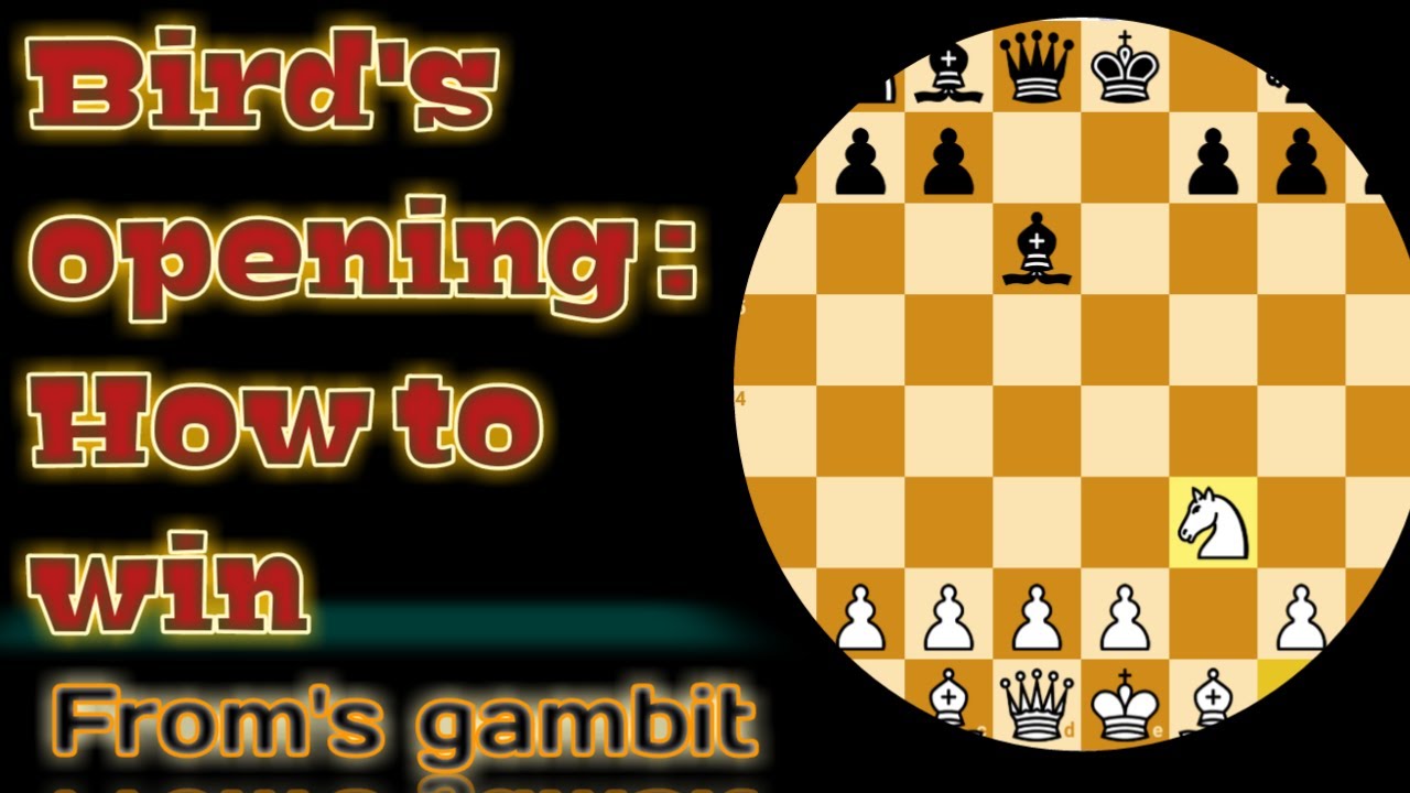 Bird's opening from's gambit । Bird's opening counter । Bird's opening ...