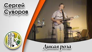 "Дикая роза"- Сергей Суворов