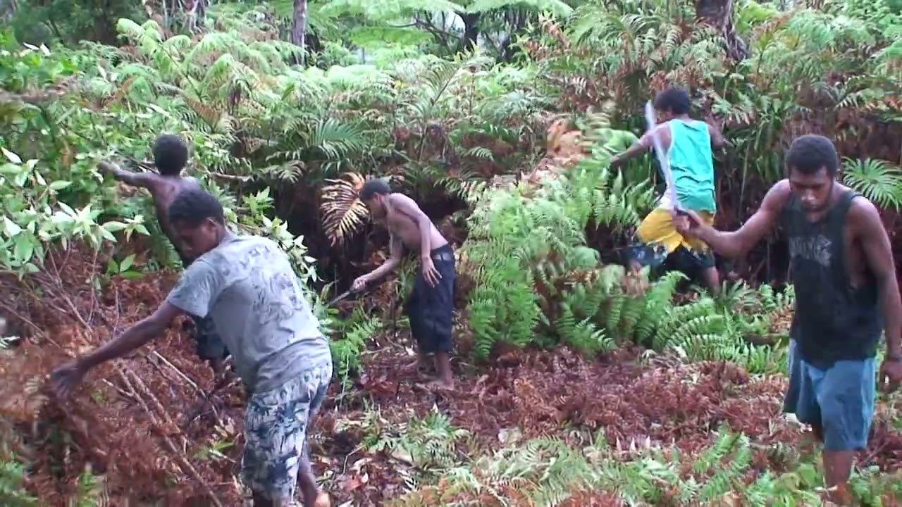 3 Days of Machete Hacking! 🌿💪 Reaching the Erupting Volcano