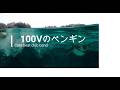 【100Vのペンギン】-チェッカーズ- ~Cover ~  by: Cute Beat Club Band