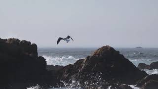 Wegu Grtp 10 16 20 Insh 2