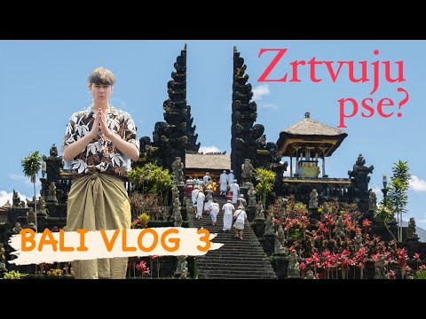U Ovom Hramu Žrtvuju Pse (BALI VLOG 3)