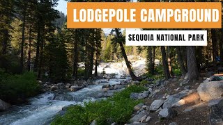 Lodgepole Campground | Sequoia National Park | Airstream Life