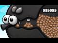 Evolving a fly to FATTEST!