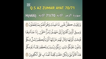 سورة الزمر  الآية 71/70 الآية  (466)H  #ngajionline #surahazzumar  #ngajiyuk