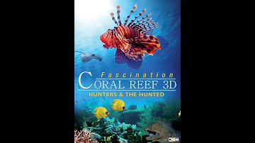 Official Trailer - FASCINATION CORAL REEF 3D - HUNTERS & THE HUNTED (2012)