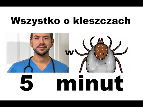 Wideo: Jakie są rodzaje kleszczy?