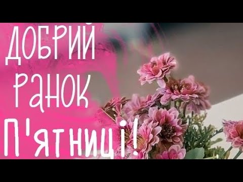 ДОБРОГО РАНКУ П'ЯТНИЦІ//МИРУ ТА ЗАТИШКУ У ВАШ ДЕНЬ