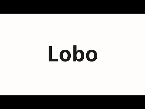 How to pronounce Lobo