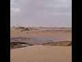 فيضان سد مأرب يصل الى صحراء وادي عبيدة  #المشهد_اليمني