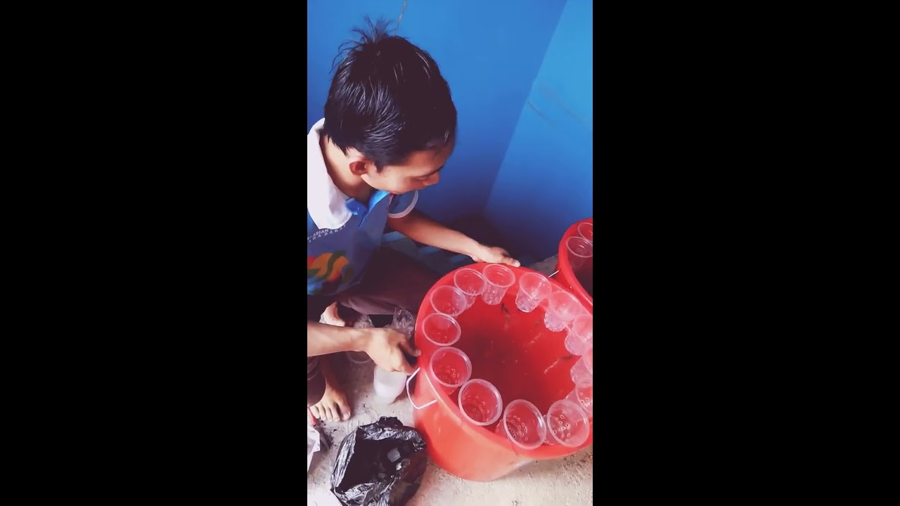 Budidaya Lele dan Kangkung Dalam Ember 