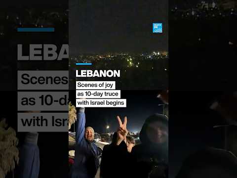 Lebanon erupts in joy as 10-day ceasefire with Israel takes effect • FRANCE 24 English