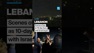 Lebanon erupts in joy as 10-day ceasefire with Israel takes effect • FRANCE 24 English