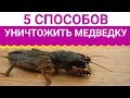 5 ПРОСТЫХ СПОСОБОВ КАК ИЗБАВИТЬСЯ ОТ  МЕДВЕДКИ!