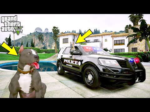 SİVAS KANGALI EJDER YAVRU PİTBULL'A ARABA SÜRMEYİ ÖĞRETİYOR! - GTA 5