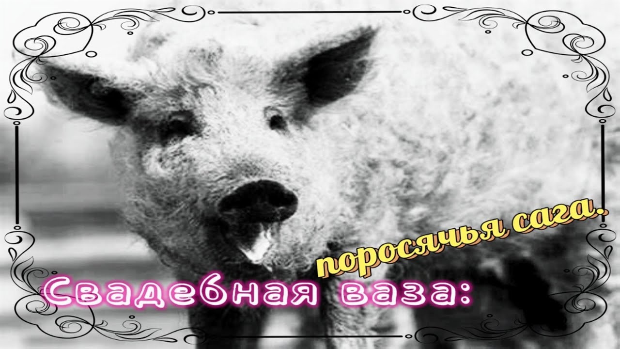 Свадебная ваза свинья
