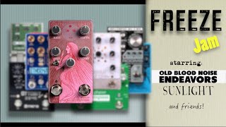 FREEZE JAM with Old Blood Noise SUNLIGHT and friends! - Alfonso Corace