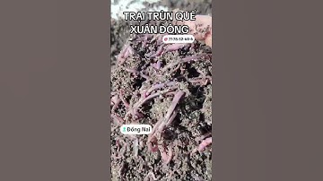 #trunque #trundonglanh #phantrunque #phanepvien