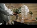 暮らしのvlog|小さな快適|日用品|新しいフライパン|50代のソロ活