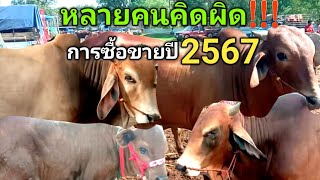 หลายคนคิดผิด!!!...การซื้อขายปี2567