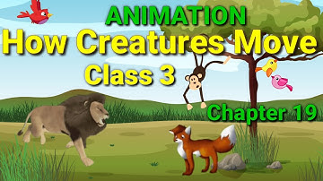 Class 3 poem How Creatures Move | NCERT/CBSE | With  rhyme and rhythm |