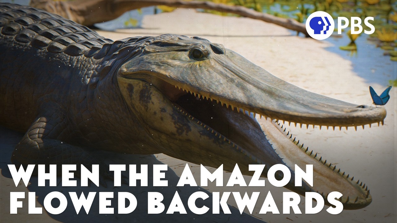 When the Amazon Flowed Backwards