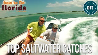 Top Florida Saltwater Catches