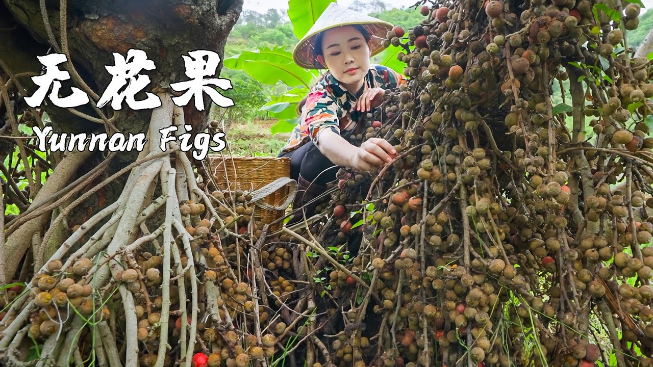 「一席一果」云南无花果——跨越整个春夏的甜蜜
