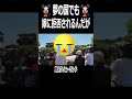嫁とチューはディズニーランドでも夢叶わず