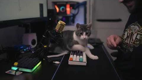 Lubed YOK Purple Trash Pandas Sound Test - ASMR