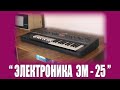 РГВ #16 - "Электроника ЭМ-25"