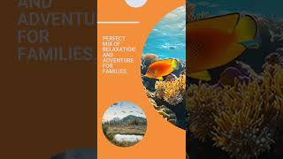 Your Summer Adventure Awaits