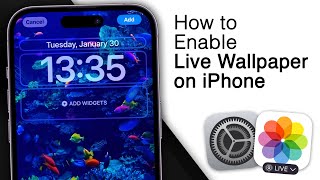 How to Enable Live Wallpaper on iPhone! [iOS 17] screenshot 3