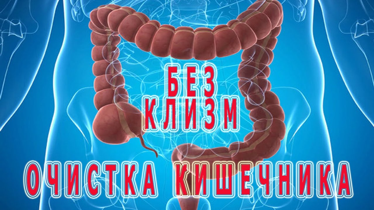 После очистки кишечника