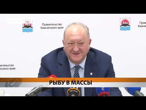 Новости Камчатки за 13 февраля 2020