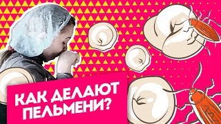 Как делают пельмени? Ужасы производства в программе Инсайдеры