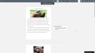 Viewing Instructor Feedback in Canvas - Embedded