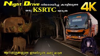 രാത്രി യാത്ര നിരോധിച്ച കാട്ടിലൂടെ ഒരു KSRTC യാത്ര!!! 4K