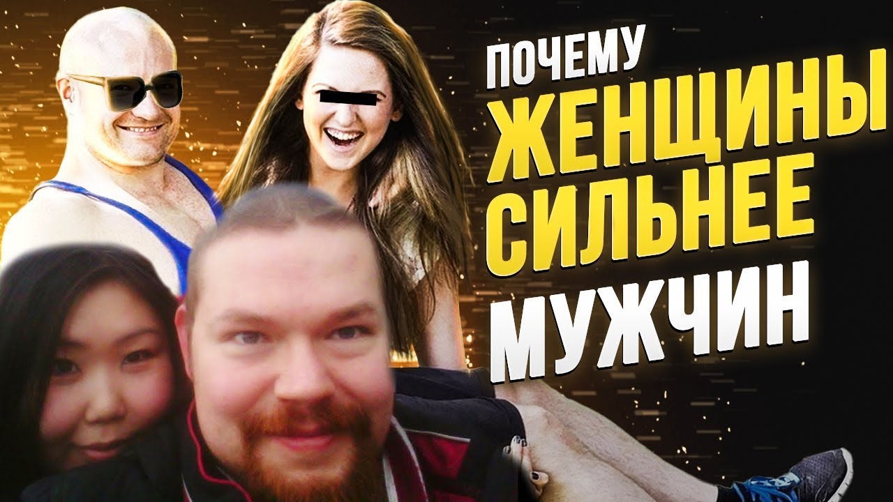 Ежи против автомобилей
