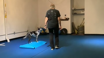 Lesson 6 second step video 1