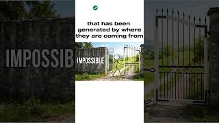 #mindsetshift #motivation #personalgrowthhacker #mentalclarity #mindset