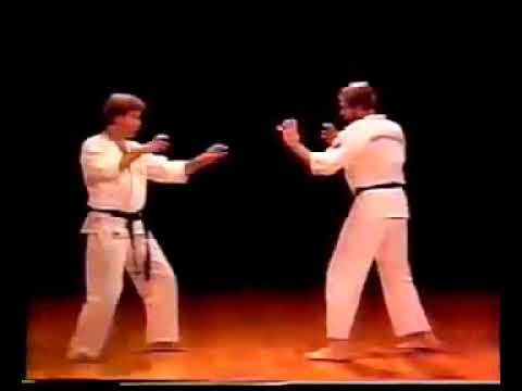 Ashihara Karate Sabaki