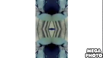 The Patrick Show Intro in G Major Mirror Top