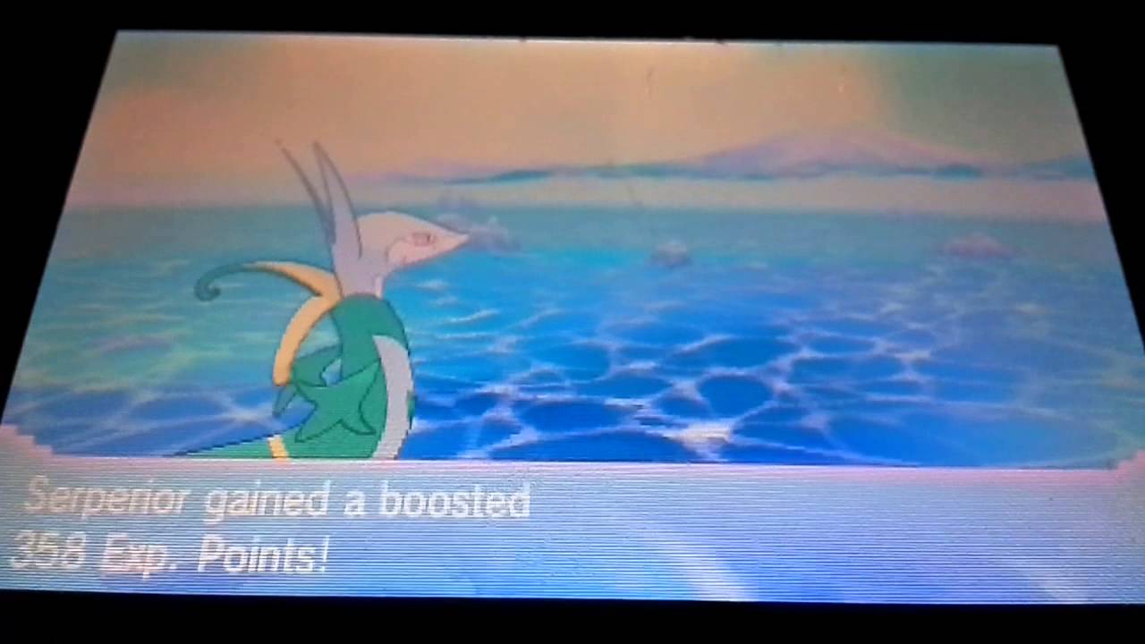 ExtrasPokemon oras special event pokemon ep1 YouTube