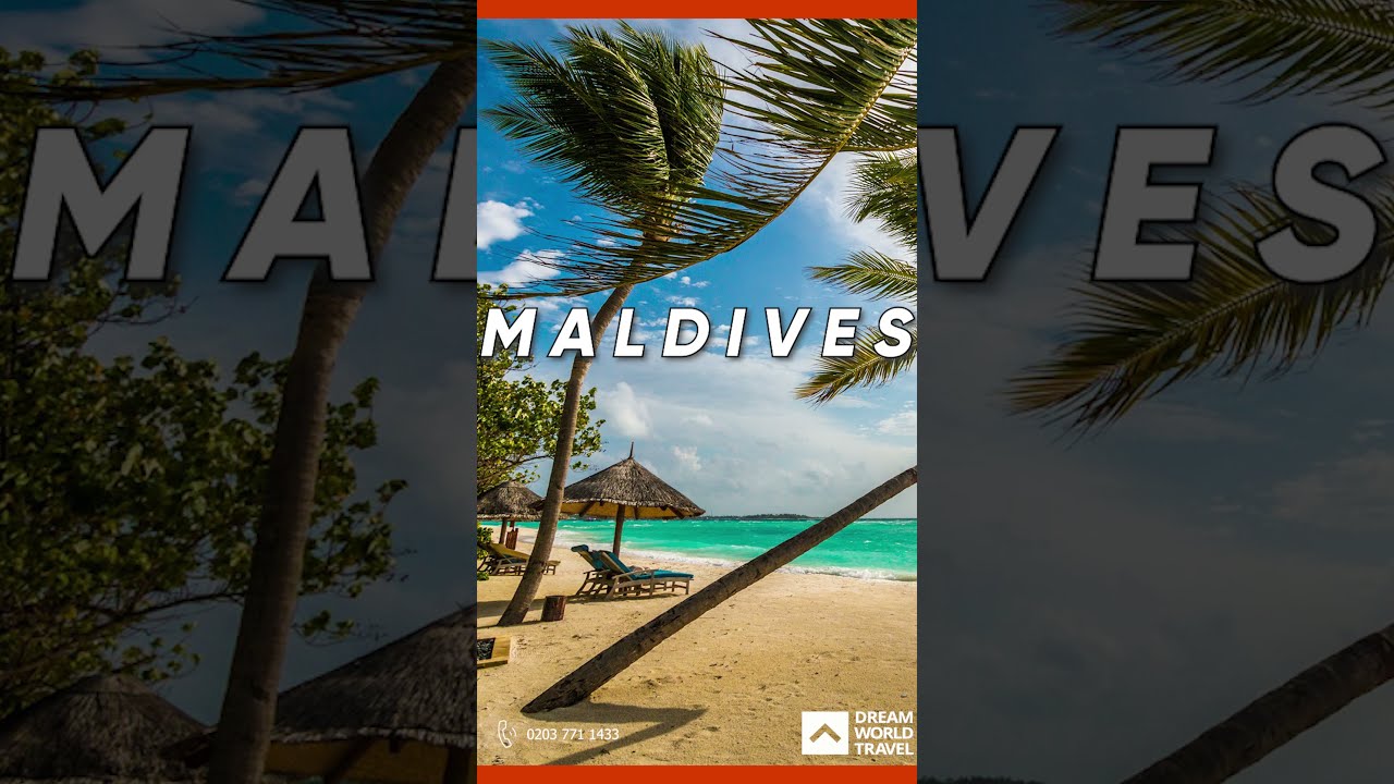 Explore Maldives | Book Your Holiday #maldives #maldivesisland #ytshorts #shorts #subscribe #holiday